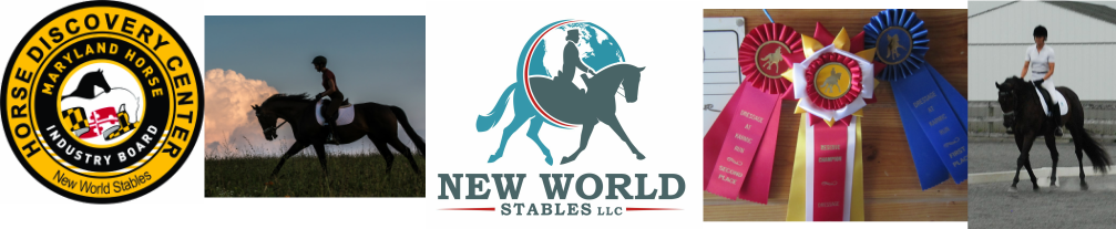 New World Stables, LLC